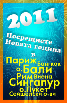 Нова година 2011. Атрактивни оферти за нова година 2011
