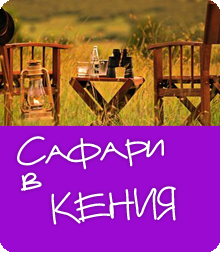 Сафари в Кения