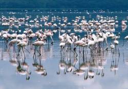 Кения - почивка в Момбаса