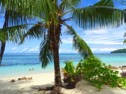 Нова Година 2025 на Сейшелските острови