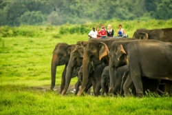 Обиколен Мини Тур на Шри Ланка и почивка