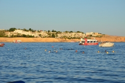 Нова Година 2025 в Шарм Ел Шейх, Египет